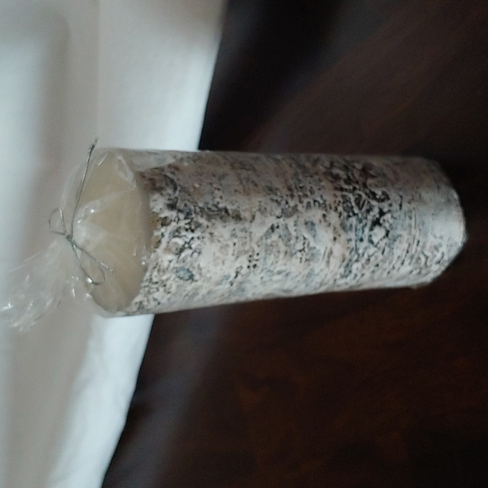 NWT Faux White Birch Candle
